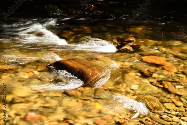 Obraz Rushing Water Over Boulder