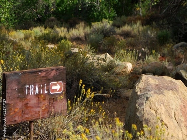 Obraz The Right Direction