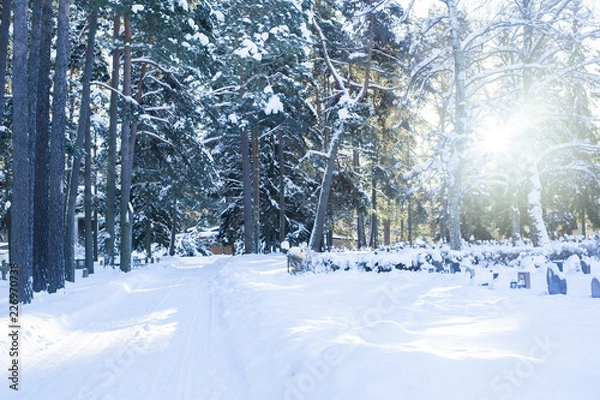 Obraz スウェーデン　森の墓地
