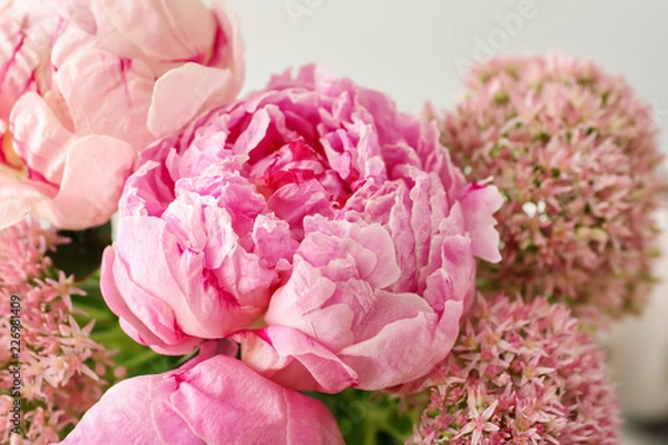 Obraz Beautiful pink peony flowers on light background, closeup