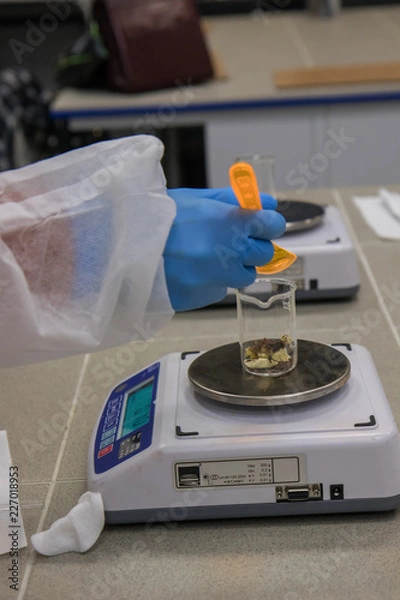 Fototapeta Working process in nanotechnology   laboratory of cosmetic production. Mixing components.