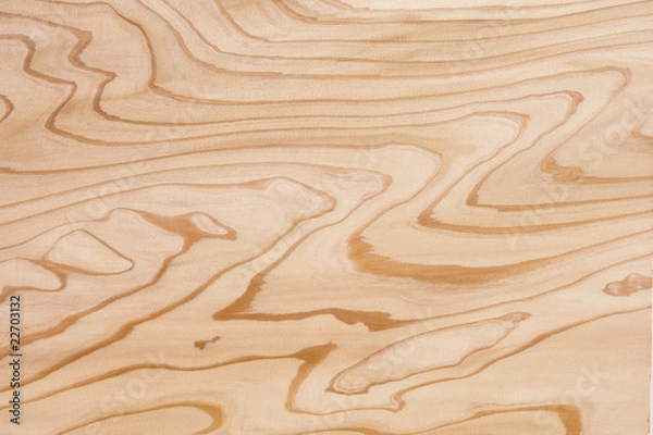 Obraz 杉板の木目