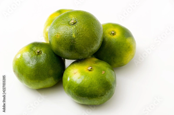 Fototapeta 青切り温州みかん