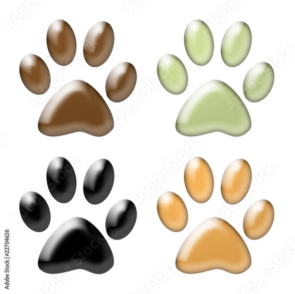 Obraz Paw print