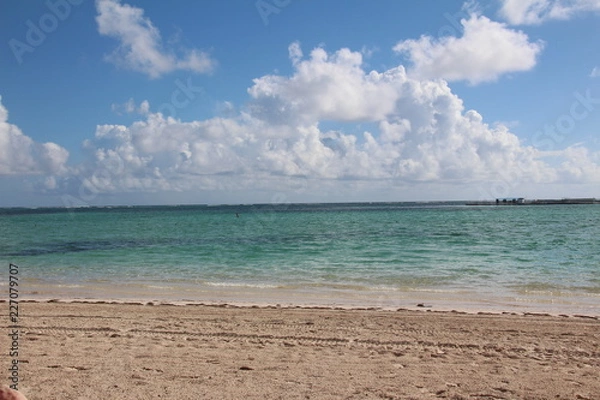 Obraz palm and beach