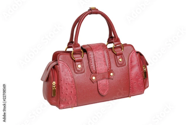 Obraz Female handbag