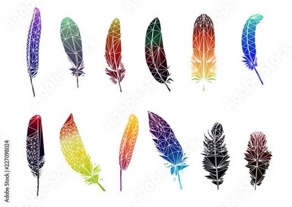 Fototapeta Set of feathers silhouettes on white background vector illustration Low poly triangular vector illustration EPS 10 isolated on white.  Polygonal style trendy modern logo design. 