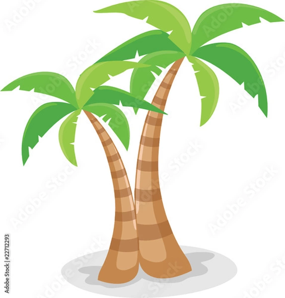 Obraz palm trees