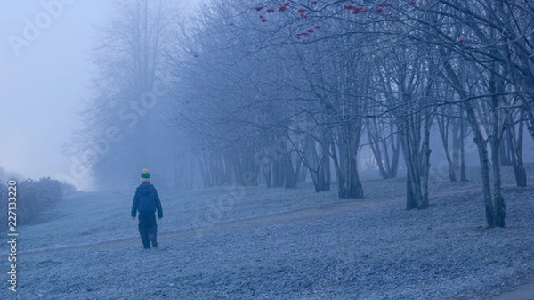Obraz walking in snow