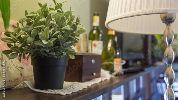 Obraz plants in pots