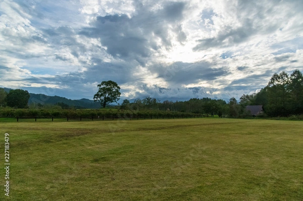 Fototapeta 木曽路の自然と牧場