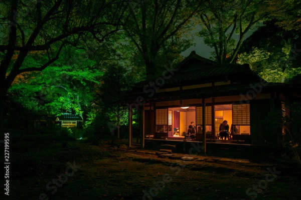 Obraz house at night