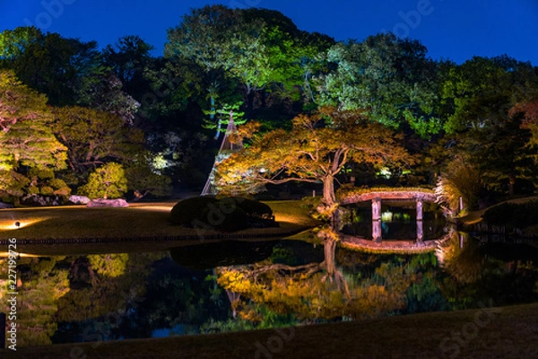 Obraz bridge in the park