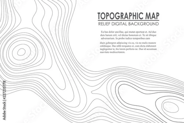 Fototapeta Tło konturu mapy topograficznej. Mapa liniowa z elewacją. Geographic World Topography map grid streszczenie ilustracji wektorowych.