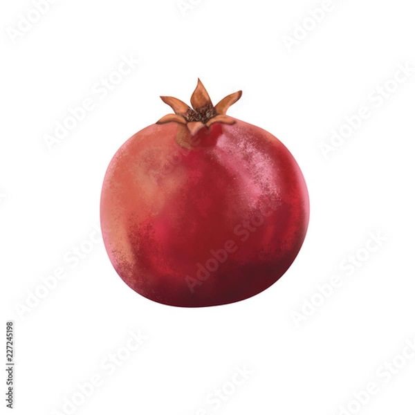Obraz pomegranate