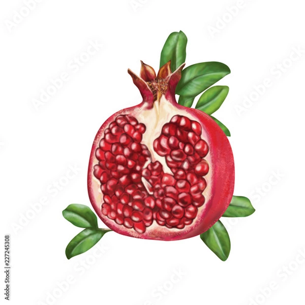 Obraz pomegranate