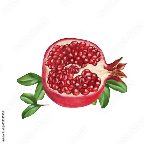 Obraz pomegranate