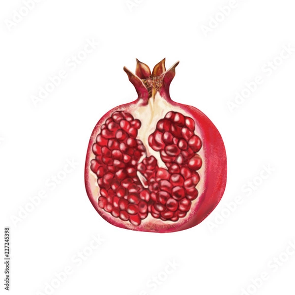 Obraz pomegranate