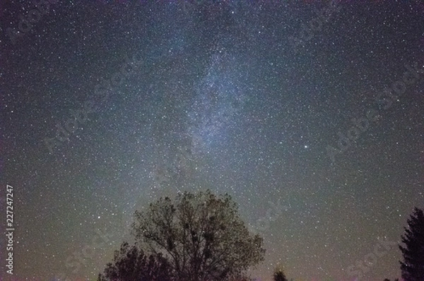 Obraz Milkyway