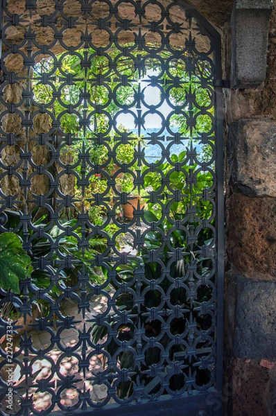 Obraz Giardino dietro la grata