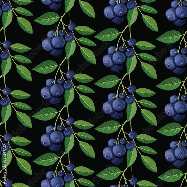 Fototapeta Seamless pattern with blueberries and sprigs. Vector
