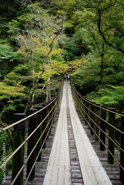 Fototapeta 汐見滝吊り橋