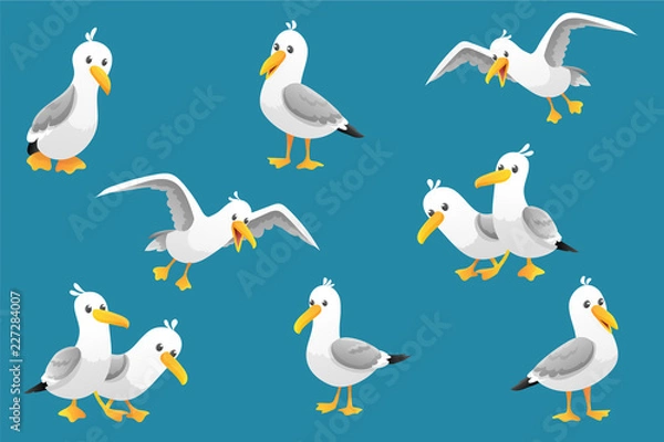 Fototapeta Wektor zestaw ładny mewy na białym tle na niebieskim tle. Ilustracji wektorowych.