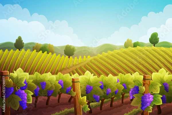Fototapeta Rural landscape of vineyard. Vines with purple grapes stretching over the hills with trees and mountains in background. Autumn season. Vector illustration.