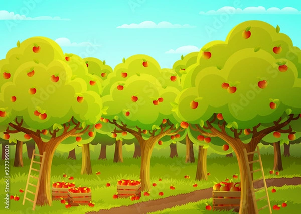 Fototapeta Colorful landscape of an apple orchard during harvest. Ladder and wooden crate filled with ripe red apples. Vector illustration.