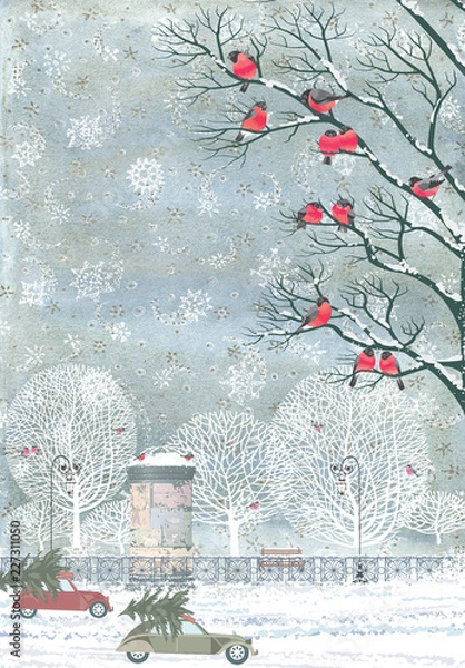 Obraz Kompozycja z tła akwareli z płatkami śniegu i wektorowym stadem gili przysiadających na gałęziach drzew, kolumna reklamowa, samochody z choinkami na szczycie, śnieg, drzewa, ogrodzenie