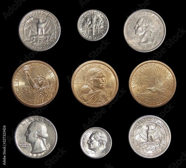 Fototapeta Collection of circulating coins of the USA (change coins of America) on a black background