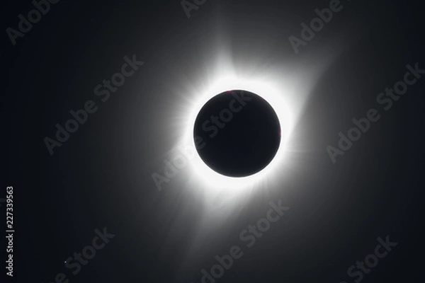 Fototapeta Total Solar Eclipse 2017 Salem Oregon