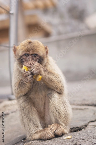Fototapeta Naschaffe