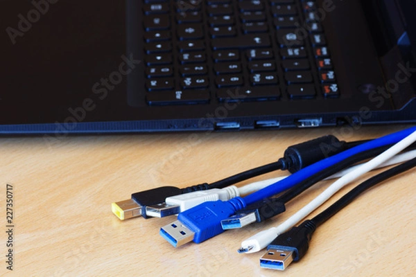 Obraz Cables and laptop