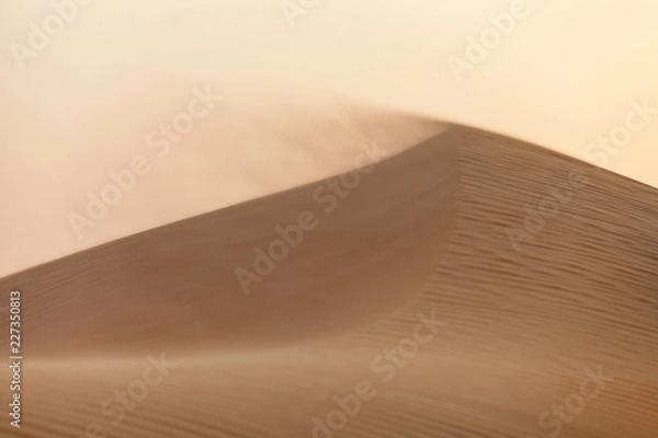 Obraz Wind blowing the sand in the desert in UAE