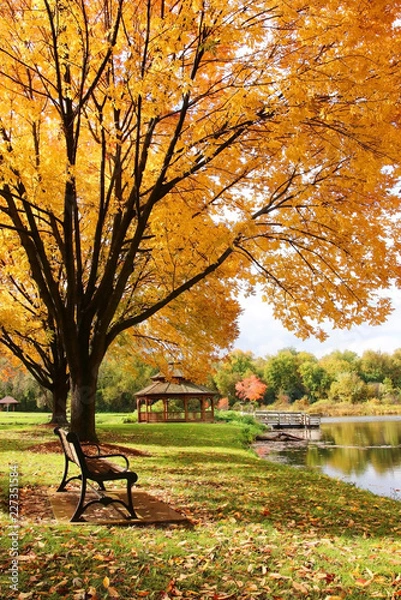 Fototapeta Midwest nature background with park view. Beautiful autumn landscape with colorful trees around the pond and wooden gazebo in a city park. Lakeview park, Middleton, Madison area, WI, USA.