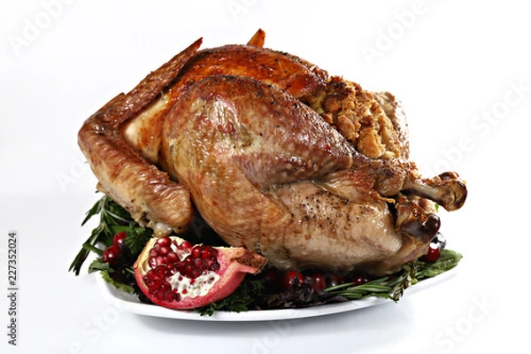 Obraz Roast turkey isolated on white background, shallow focus