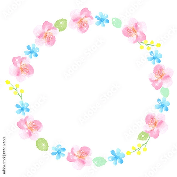Fototapeta 桜と青い花の円フレーム　水彩