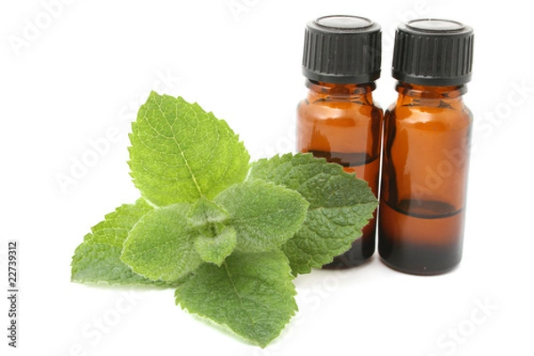 Obraz mint