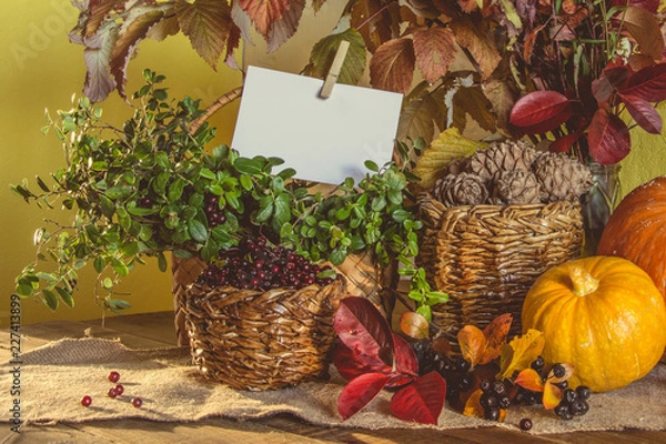 Obraz Autumn harvest, pumpkin, pine nuts