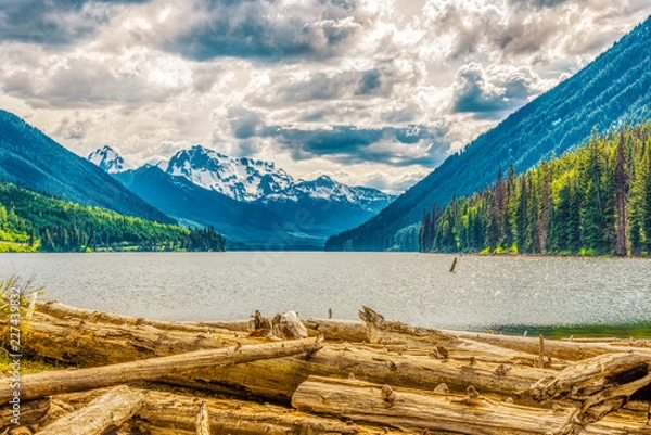 Fototapeta Evening view at the Mount Rhor mountain from Duffey lake Provincial Park in British Columbia - Canada