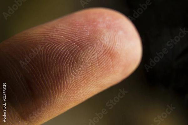Obraz An extreme macro closeup of a fingertip