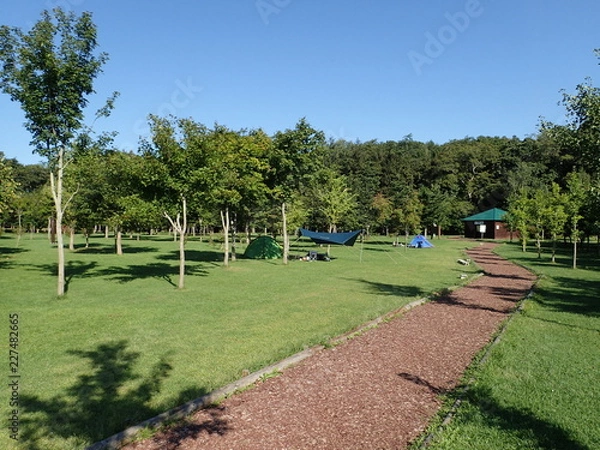 Obraz 鹿公園キャンプ場