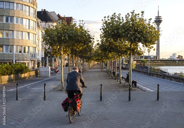 Fototapeta Man Riding a Bike between a Row of Trees