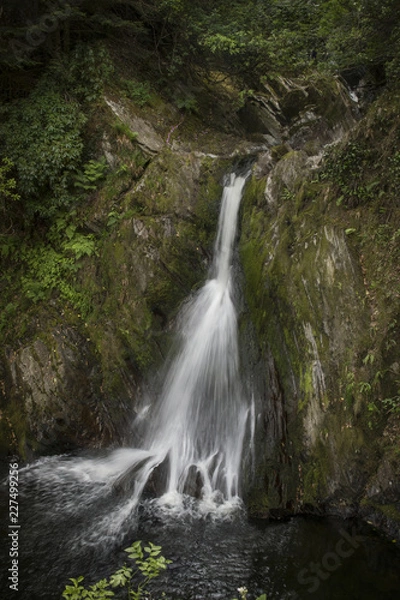 Fototapeta Devil’s Bridge Waterfalls, Wales,UK