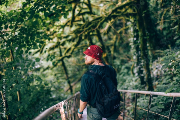 Fototapeta Back view of smiling traveler in red hat, wearing backpack climbing up on wooden passage in national nature park in Germany.