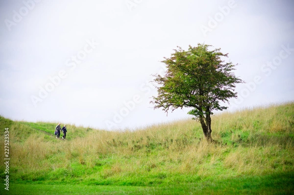 Obraz A couple walking on a landscape