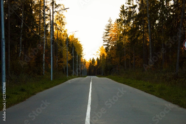 Fototapeta Осень / fall