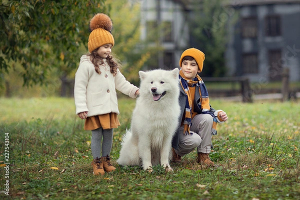 Obraz children with samoyed dog in the autumn park