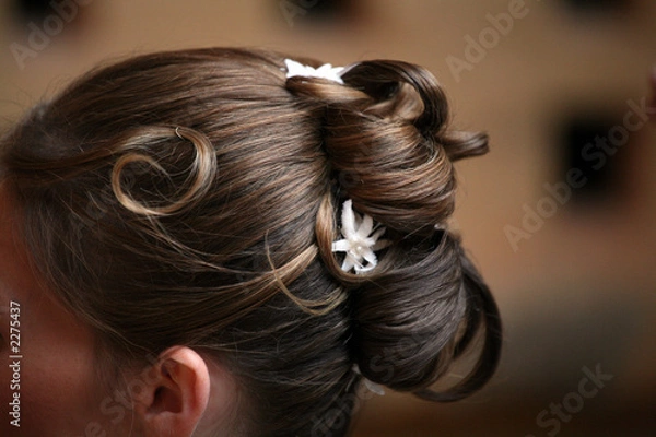 Obraz chignon